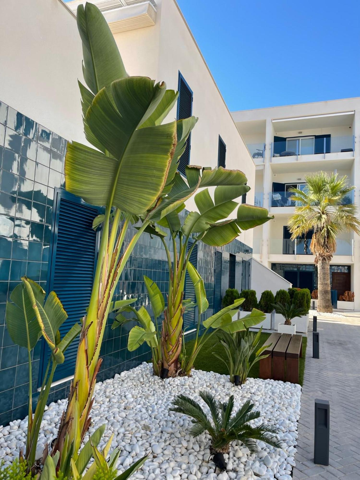 Hola Blanca - Sea, Golf, Chill Apartment Dehesa de Campoamor  Luaran gambar