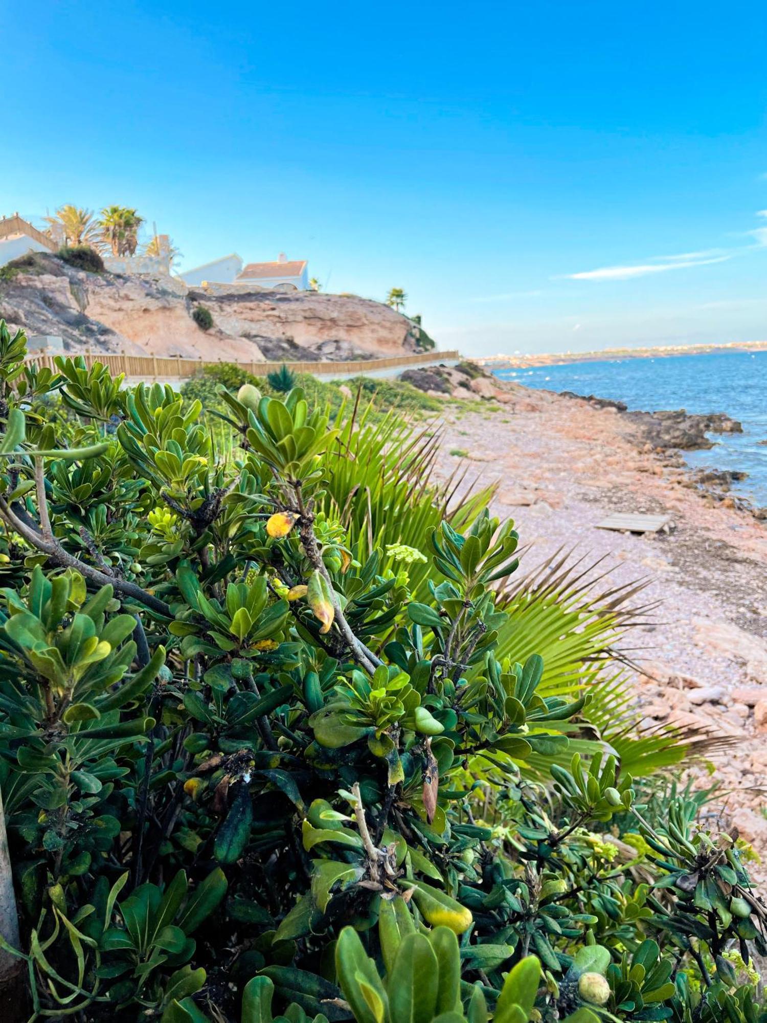 Hola Blanca - Sea, Golf, Chill Apartment Dehesa de Campoamor  Luaran gambar