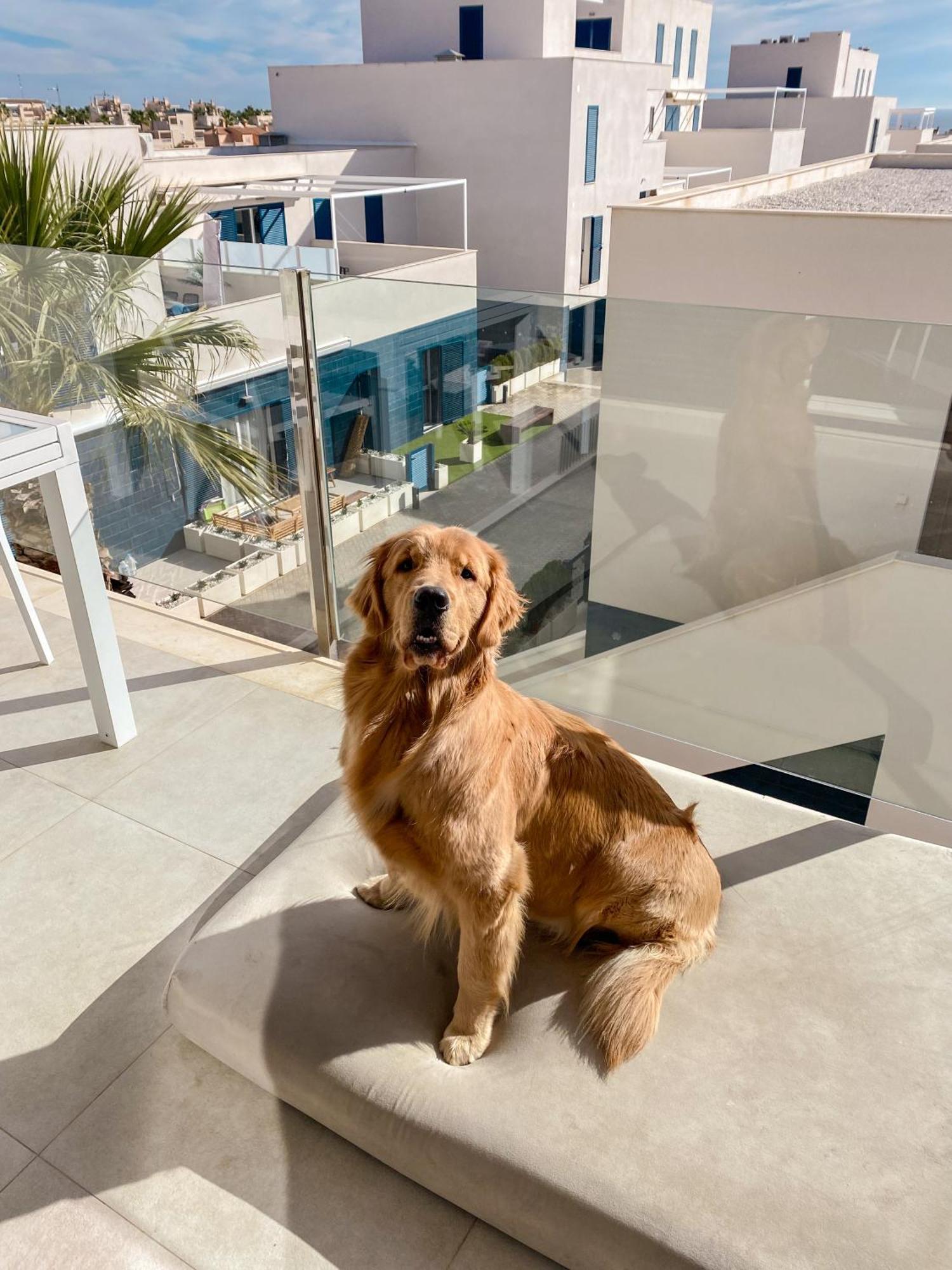 Hola Blanca - Sea, Golf, Chill Apartment Dehesa de Campoamor  Luaran gambar