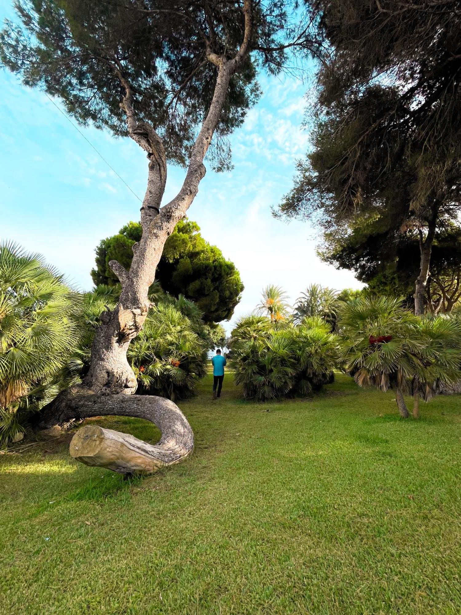 Hola Blanca - Sea, Golf, Chill Apartment Dehesa de Campoamor  Luaran gambar