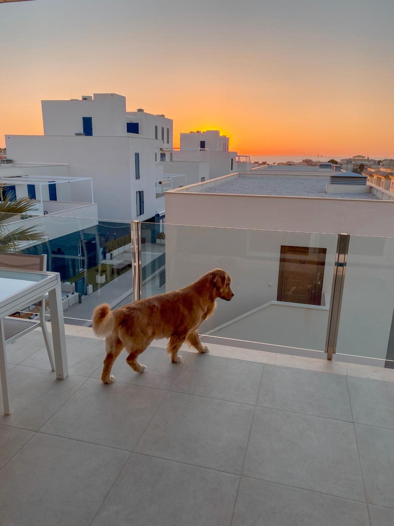Hola Blanca - Sea, Golf, Chill Apartment Dehesa de Campoamor  Luaran gambar